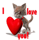GIF animado (2097) Gatito de amor
