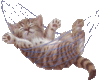 GIF animado (7885) Gatito dormido