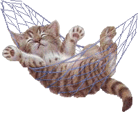GIF animado (7806) Gatito en una hamaca