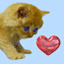 GIF animado (2103) Gatito enamorado
