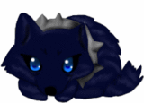 GIF animado (7956) Gatito negro