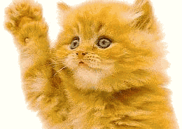GIF animado (7812) Gatito saludando