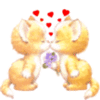 GIF animado (7894) Gatitos romanticos