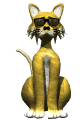 GIF animado (7749) Gato amarillo con gafas