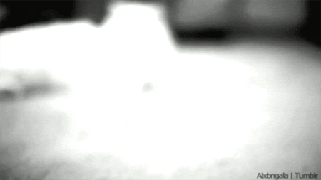 GIF animado (7844) Gato angora