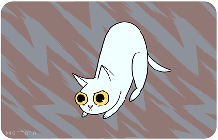 GIF animado (7825) Gato blanco
