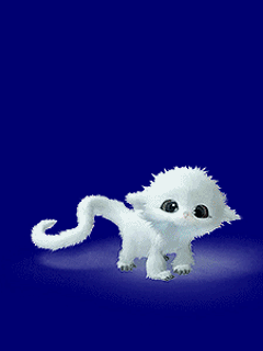 GIF animado (7826) Gato blanco azul