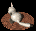 GIF animado (7828) Gato blanco en la alfombra