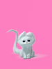 GIF animado (7830) Gato blanco rosa