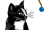 GIF animado (7967) Gato blanco y negro