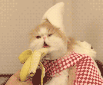 GIF animado (1084) Gato comiendo banana