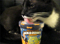 GIF animado (918) Gato comiendo helado