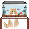 GIF animado (8018) Gato delante de un acuario