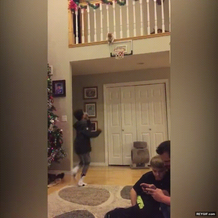 GIF animado (116714) Gato haciendo un espectacular alley oop jugando a basket