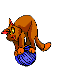 GIF animado (8016) Gato jugando con un ovillo de lana