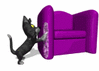 GIF animado (7822) Gato rascando el sofa