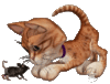 GIF animado (8049) Gato raton moviendo cola