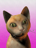 GIF animado (7989) Gato siames
