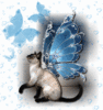 GIF animado (7991) Gato siames