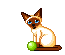 GIF animado (7993) Gato siames