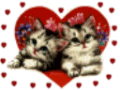 GIF animado (2133) Gatos de amor