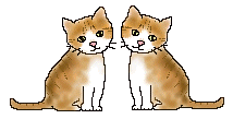 GIF animado (2139) Gatos de amor