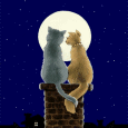 GIF animado (2141) Gatos de amor