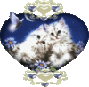 GIF animado (2161) Gatos romanticos