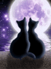 GIF animado (7916) Gatos y la luna llena