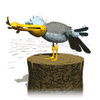 GIF animado (7075) Gaviota con un pez