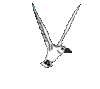 GIF animado (7078) Gaviota volando