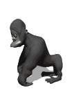 GIF animado (9237) Gorila