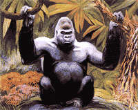 GIF animado (9244) Gorila