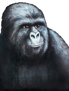 GIF animado (9248) Gorila