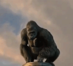 GIF animado (9268) Gorila king kong