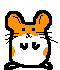 GIF animado (9296) Hamster
