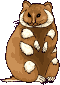 GIF animado (9299) Hamster