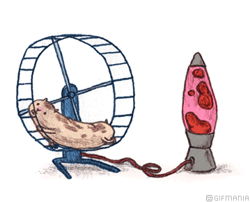 GIF animado (9305) Hamster lampara lava
