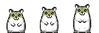 GIF animado (9307) Hamsters
