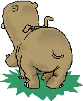 GIF animado (9329) Hipopotamo