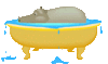 GIF animado (9341) Hipopotamo banera