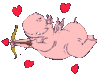 GIF animado (9352) Hipopotamo cupido
