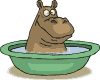 GIF animado (9357) Hipopotamo en una palangana
