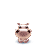 GIF animado (9365) Hipopotamo i love you
