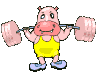 GIF animado (9373) Hipopotamo pesas
