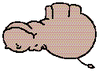 GIF animado (9379) Hipopotamo rotando