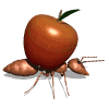 GIF animado (8329) Hormiga llevando una manzana