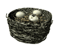 GIF animado (7128) Huevos en el nido