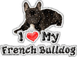 GIF animado (10543) I love my french bulldog