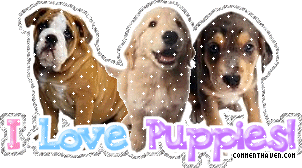 GIF animado (10623) I love puppies